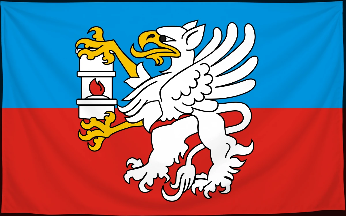 Флаг: Ленчинский повет
